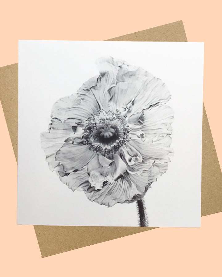 Square greeting card black and white poppy from The Flower Moon Fox