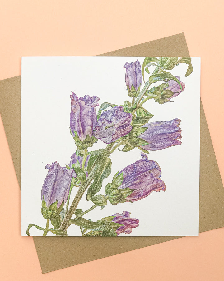 10 Pack Mixed Floral Cards