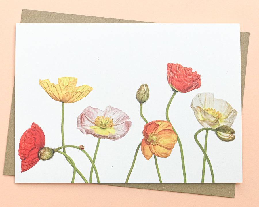 10 Pack Mixed Floral Cards