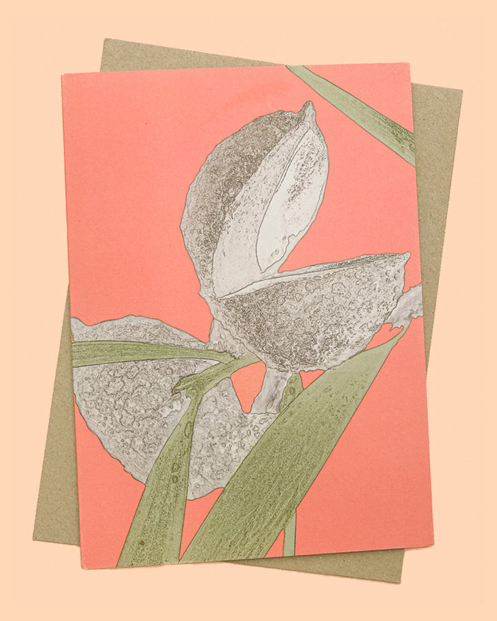 Hakea Nut Greeting Card