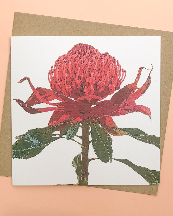 Red Waratah Flower Greeting Card image