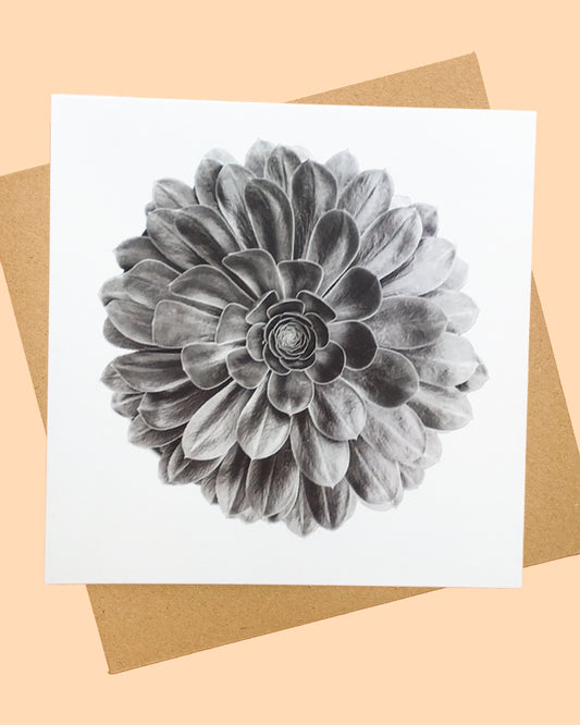 Black and White Succulent Greeting Card