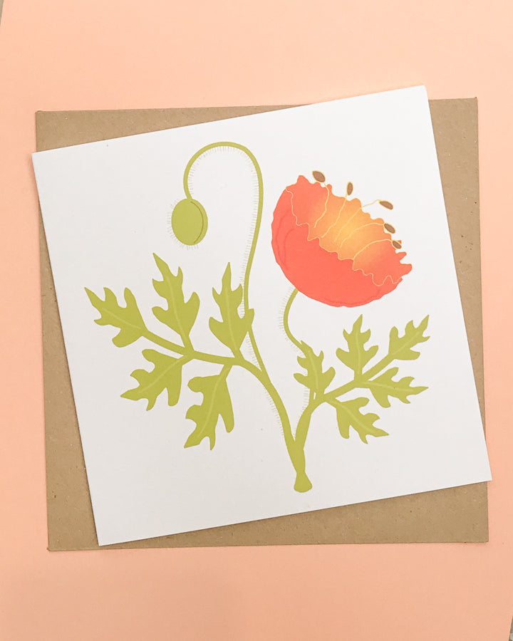 10 Pack Mixed Floral Cards