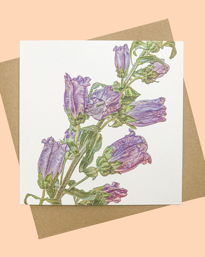 Square card with detailed purple canterbury bell flowers from The Flower Moon Fox