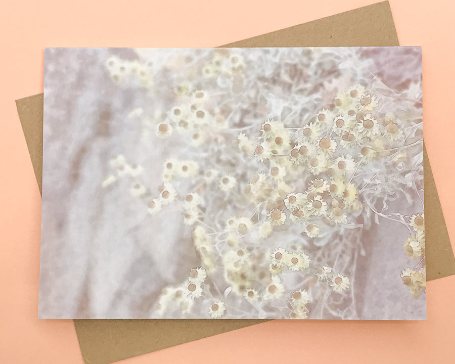 Greeting card with pastel design of everlasting daisies on a stone wall. From The Flower Moon Fox