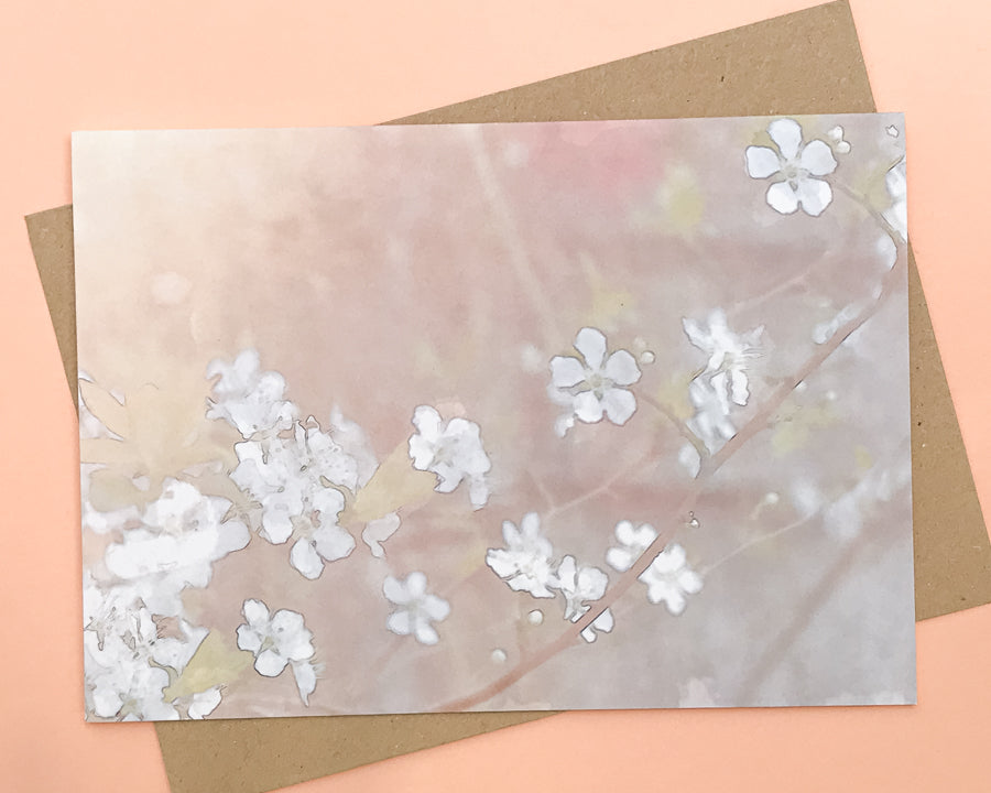 Pastel toned card of delicate blooms in morning sunshine. 