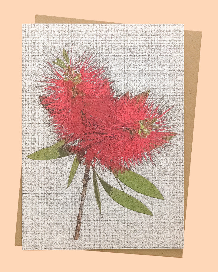 Greeting Card with Australian red bottle brush flower from The Flower Moon Fox