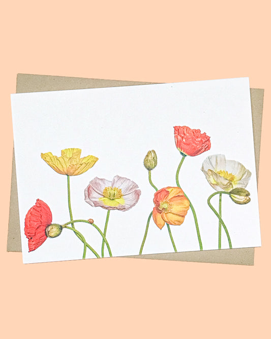 Poppies and Ladybird Greeting Card