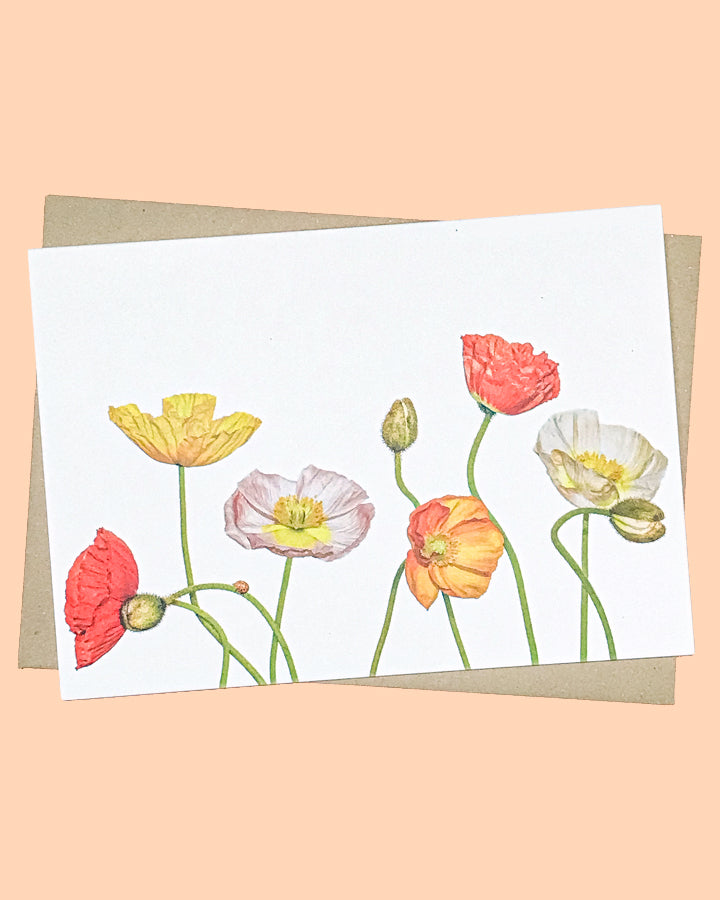 5 Pack Mixed Floral Cards