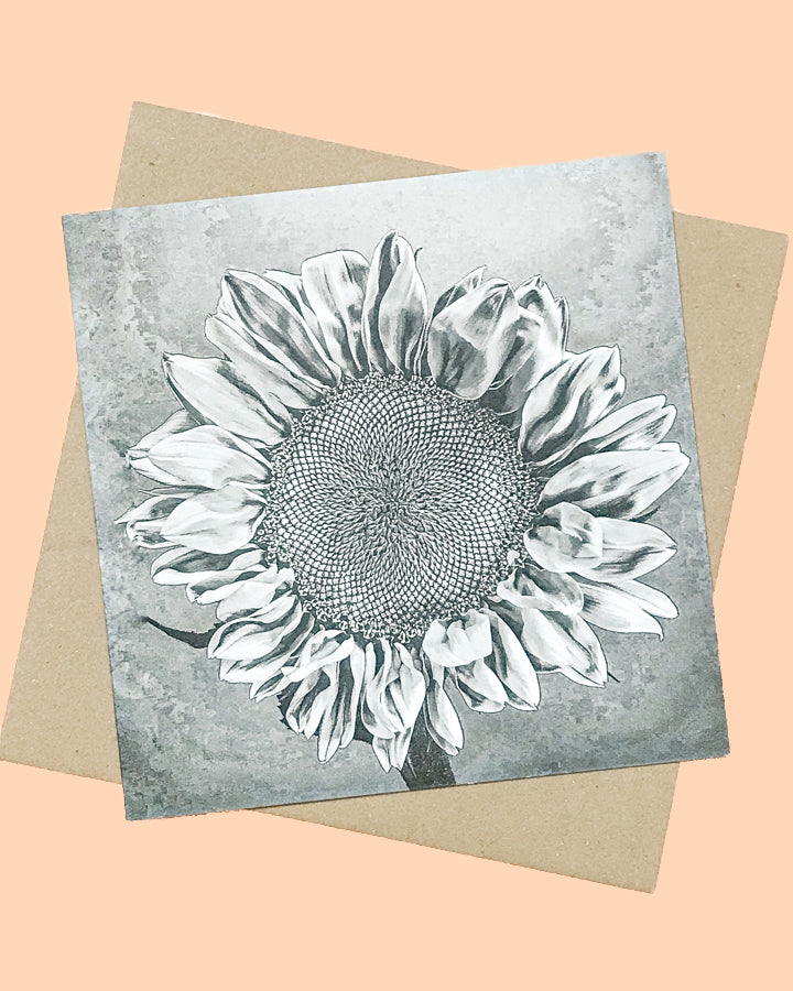 Sunflower Black and White Greeting Card